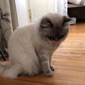 Meet your Posher, Tali